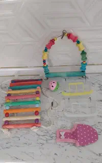 اسباب بازی و خوراکی پرنده