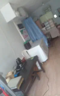 سبزی سرخ کن