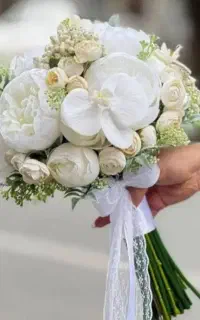 تشریفات برگزاری جشن کاملا قسطی