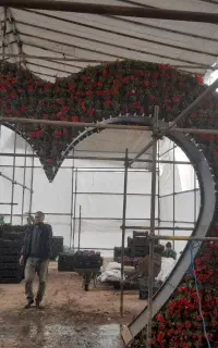 جویای کار