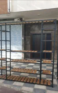 بیضی شکل  رگال بندرخت رنگی تاسی