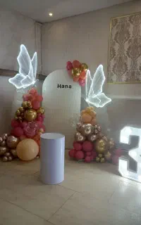 بادکنک ارایی حرفه ای و تخصصی