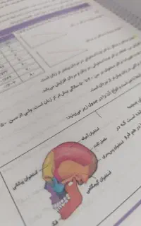 تعدادی جزوره و کتاب پایه یازدهم و دهم تجربی