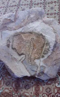 سنگ های آنتیک