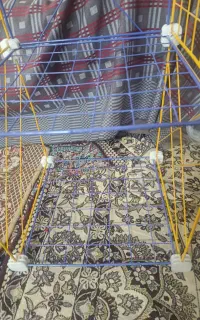 قفسه کتاب