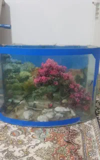 آکواریوم