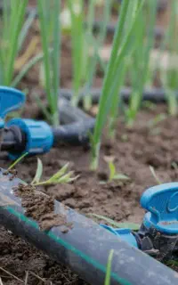 خدمات باغبانی قطره ای فنس کشی