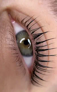مدل برای لیفت مژه و ابرو