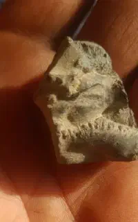 شهاب سنگ کلکسیونی