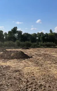 کود گلخانه ای پهن