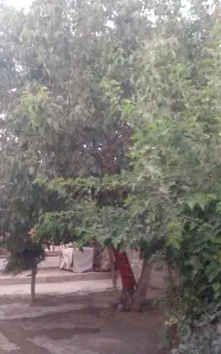 منزل ویلایی واقع در روستای مصطفی آباد