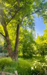 راهنمایی