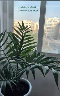 نیاز به همکاری در سالن زیبایی