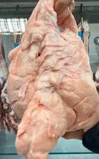 دنبه بره