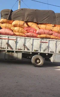 کاه گندم