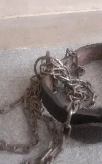 قلاده