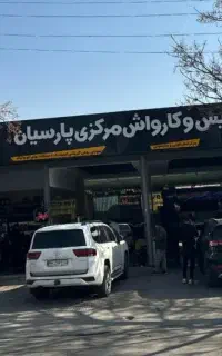 نیروی کار حرفه ای کارواش