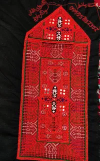 زی آستین فرح بانو