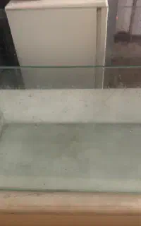 اکواریوم شیشه خم