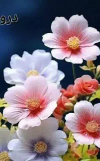 آغاز ثبت نام دور جدید آموزشها