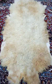 پوست گوسفند دباغی شده