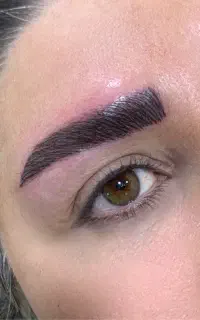 نیازمند (سه)مدل برای میکروبلیدینگ