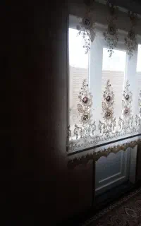 مجتمع شاهین