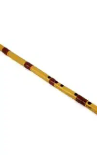 فروش نی