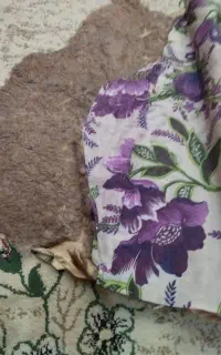 پادری پوست گوسفند