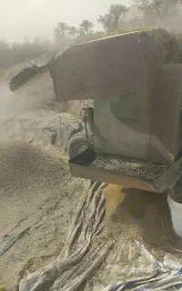 بذرعلف یونجه