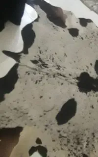 پوست گاو