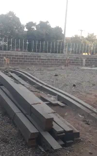 پژدر عراقی ماده