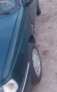 پژواردی
