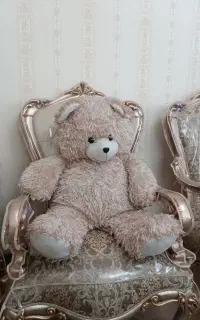خرس بزرگ قد 80