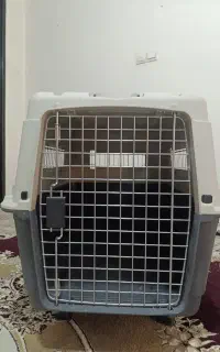 باکس حمل سگ و گربه سایز ۳