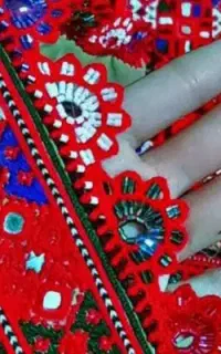 کریشــی خاص پسندان