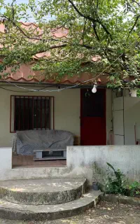 سوئیت باغی