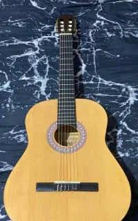 گیتار Wolf به همراه کیف