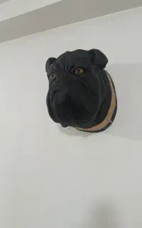 اکسسوری به قیمت عمده