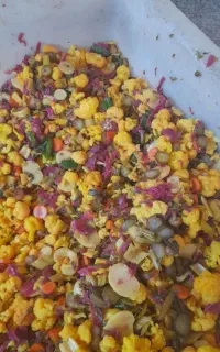فروش انواع ترشی