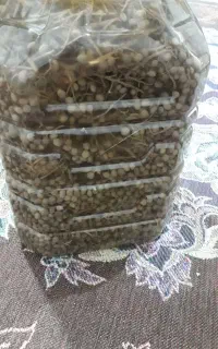ترشی بن خانگی