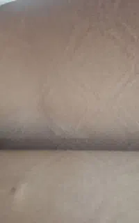 موکت