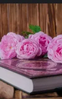 دعاوسرکتاب