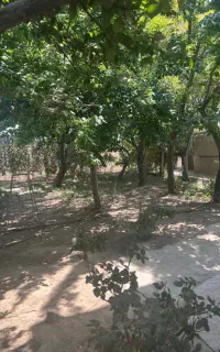 نگهبان برای انبار در صحرای بهار