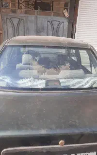 پراید مدل ۸۱