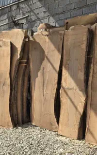 فروش انواع چوب راش، توسکا، صنوبر و گردو