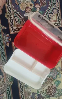 ظرف غذا