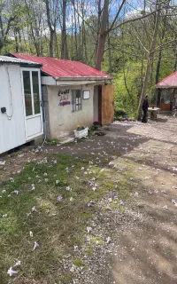 نیروی خدماتی