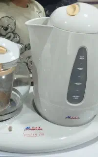 چلی ساز تفال نو با کارتن