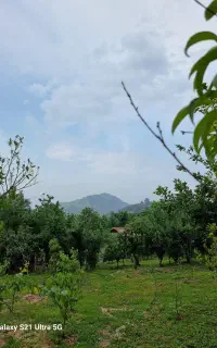 سرایدار